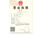 Business License (original)